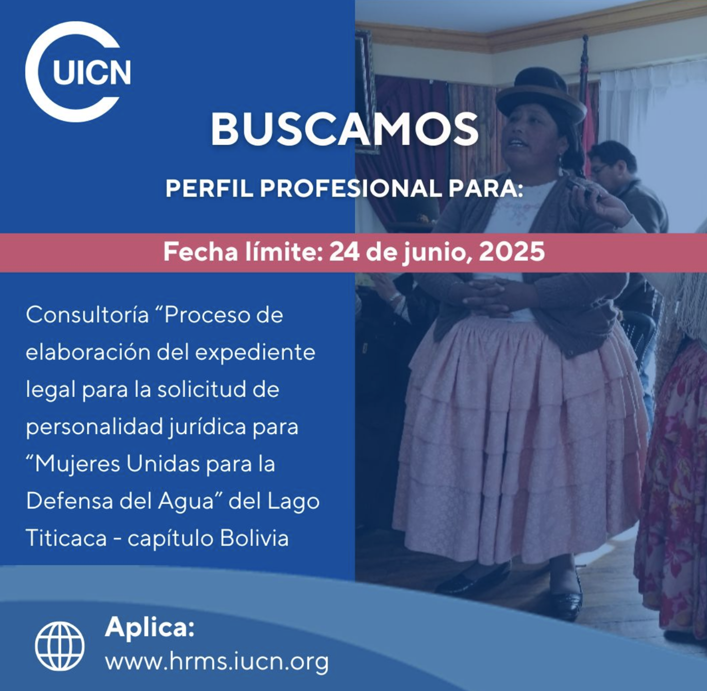 Vacante consultor (IUCN South America)